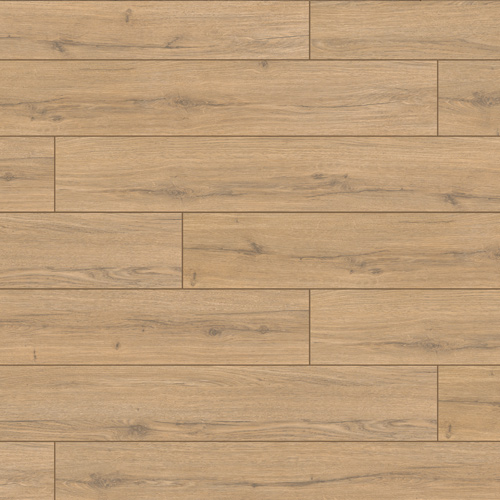 elite xl fxl021 manila sq