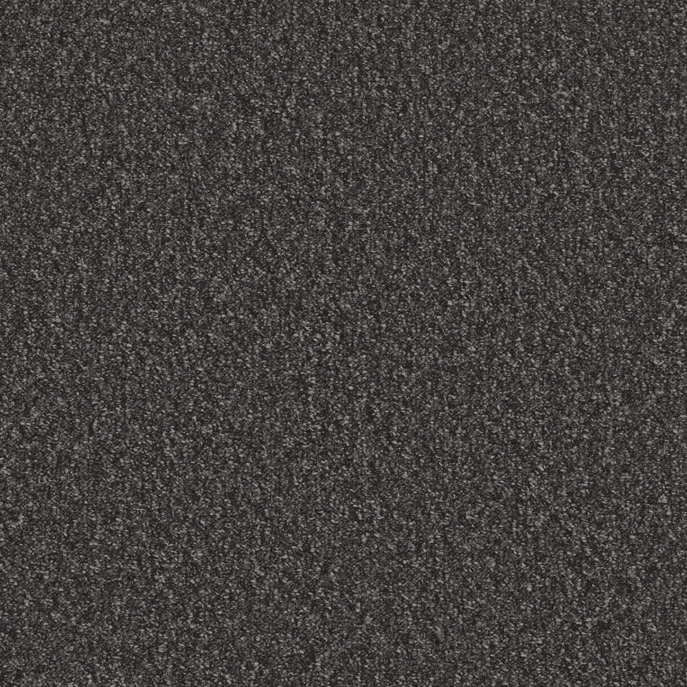 Mojave Anthracite csjq ()