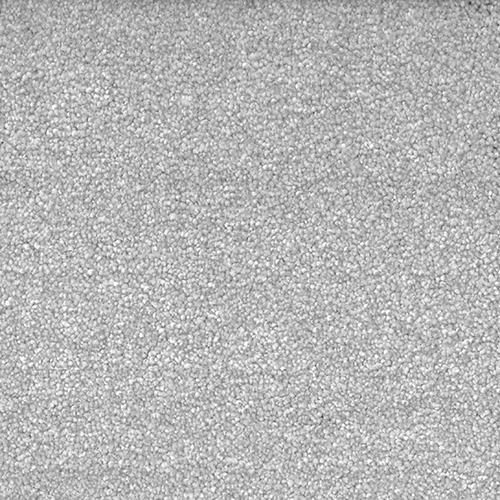 CAMFE ESILVER