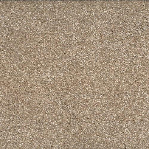 CAMFE FEPUTTY