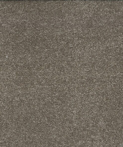 CAMFE FETAUPE