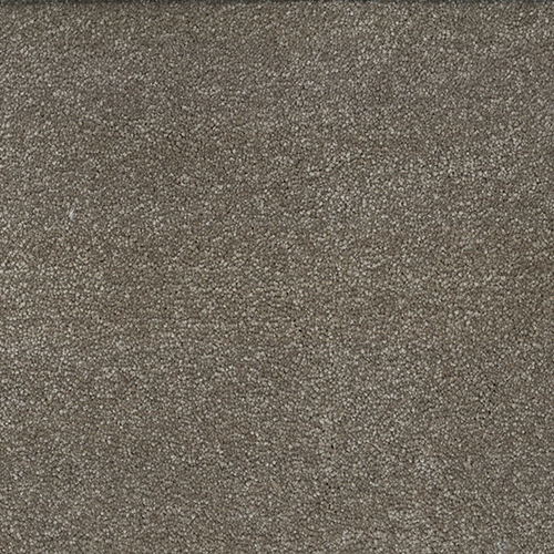 CAMFE FETAUPE