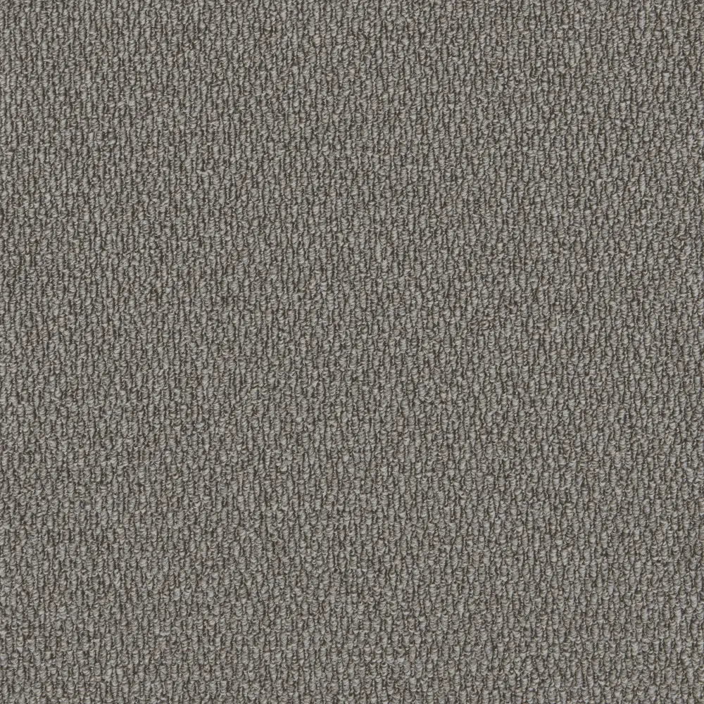 Gobi Lynx