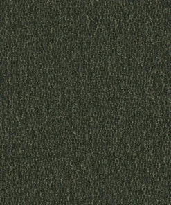 Gobi Palm