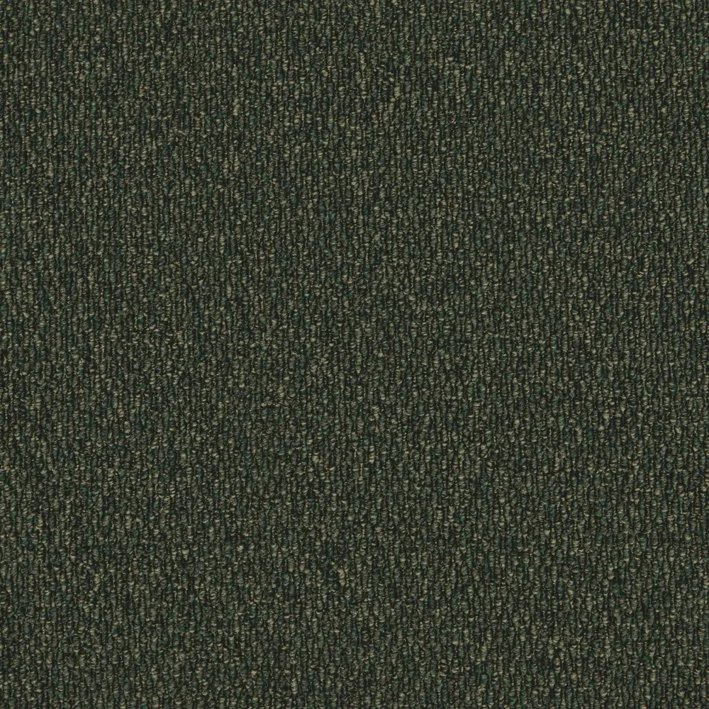 Gobi Palm