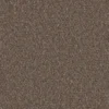 Gobi Sepia