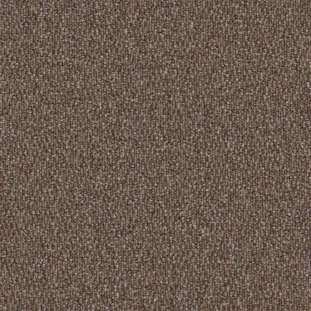 Gobi Sepia