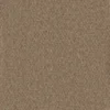 Gobi Shifting Sands