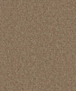 Gobi Shifting Sands