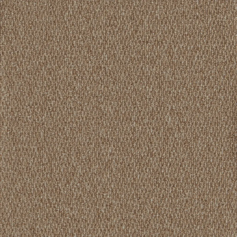 Gobi Shifting Sands