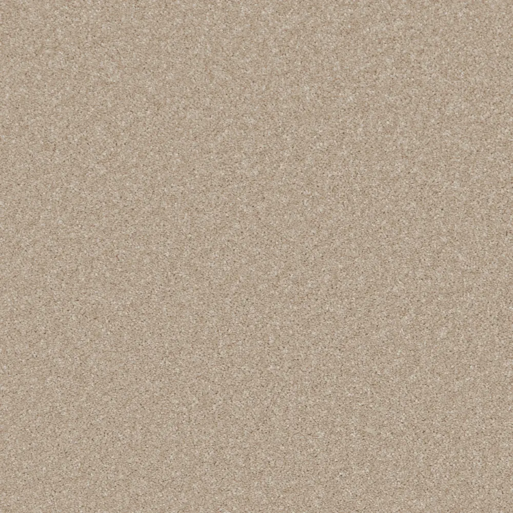 Provence Alpaca zjsr