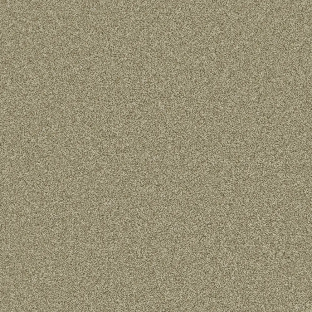 Provence Olive iymx