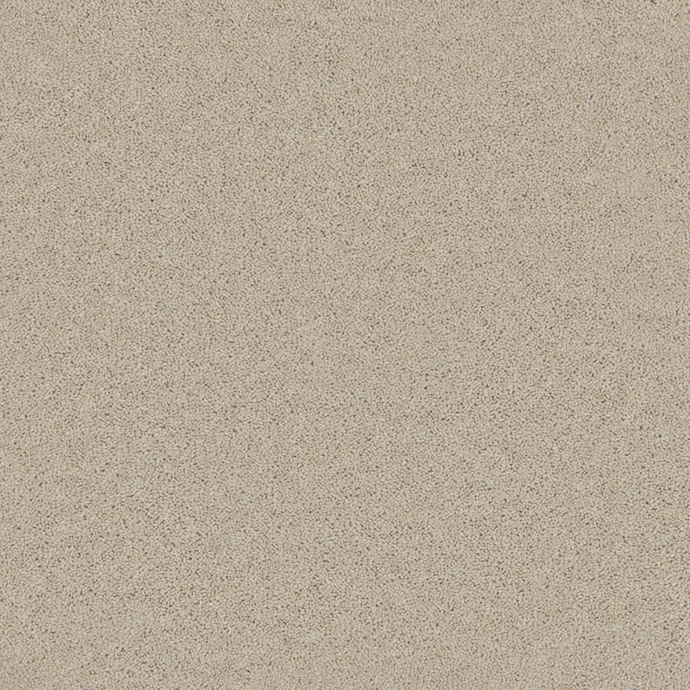 Timeless Cotton Cloud
