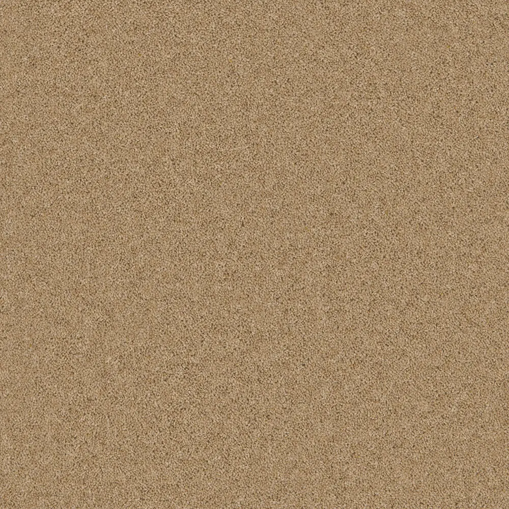 Timeless Hessian Hue