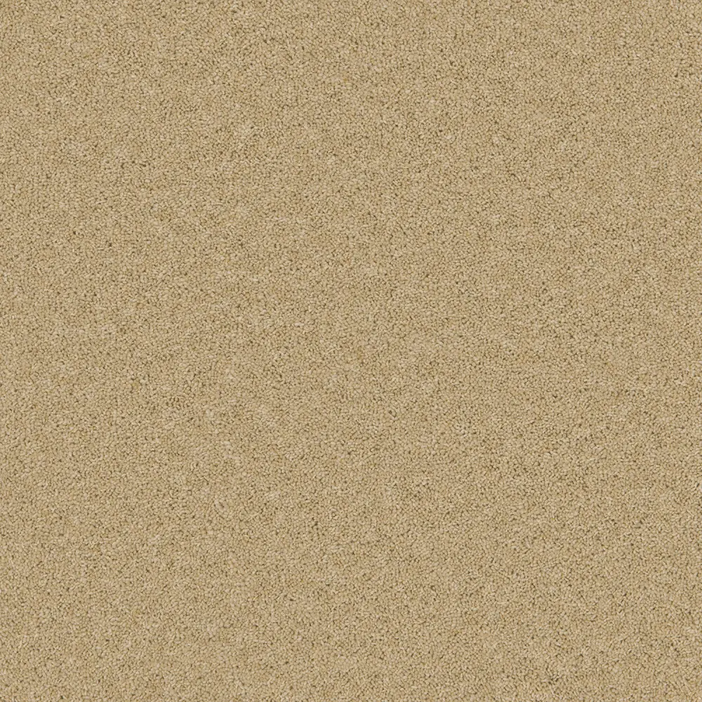 Timeless Sand Salt