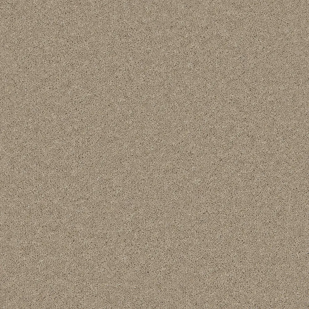 Timeless Tranquil Truffle
