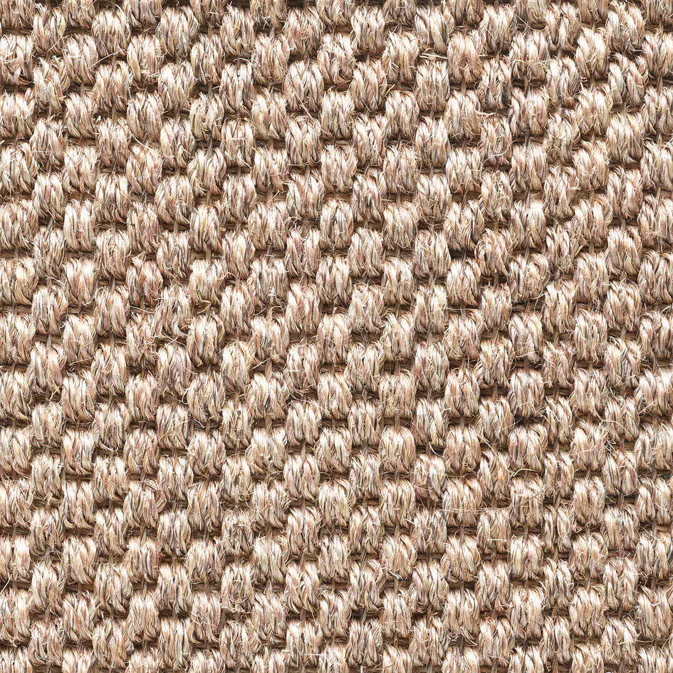 tigra bisquit