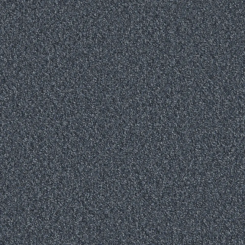 Mojave Ocean zzjf