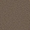 Mojave Cappucino lgoi