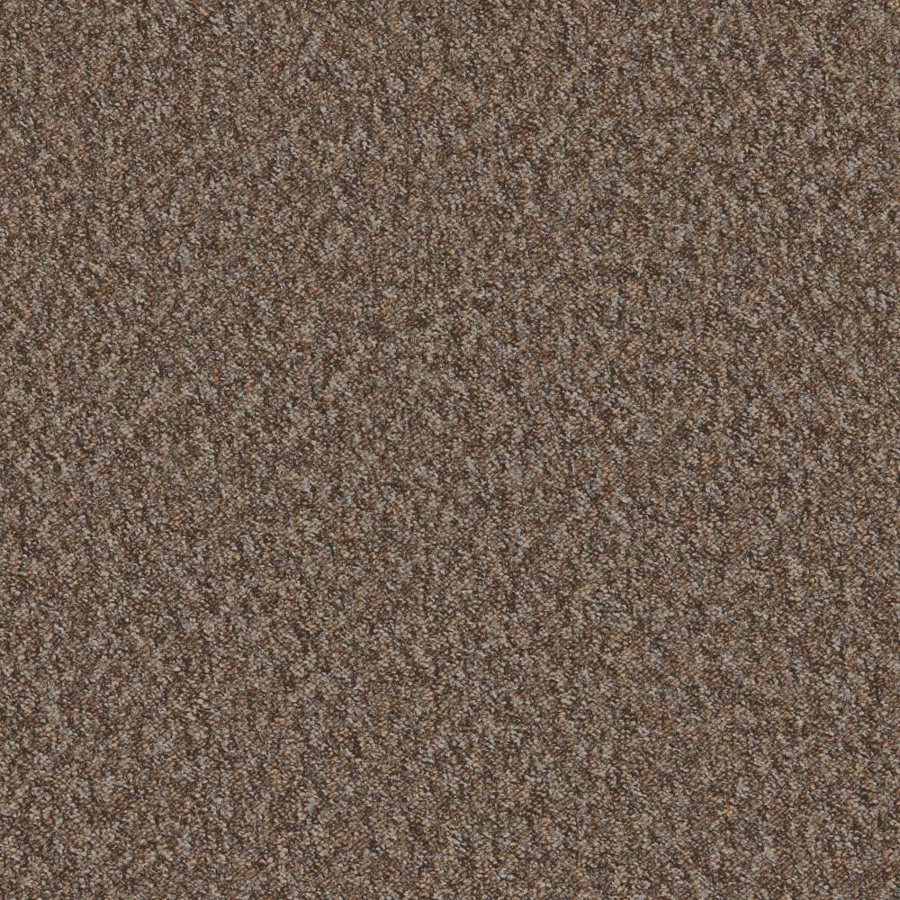 Mojave Cappucino lgoi