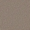 Mojave Beech Nut vwne