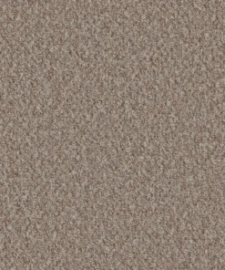 Mojave Beech Nut vwne