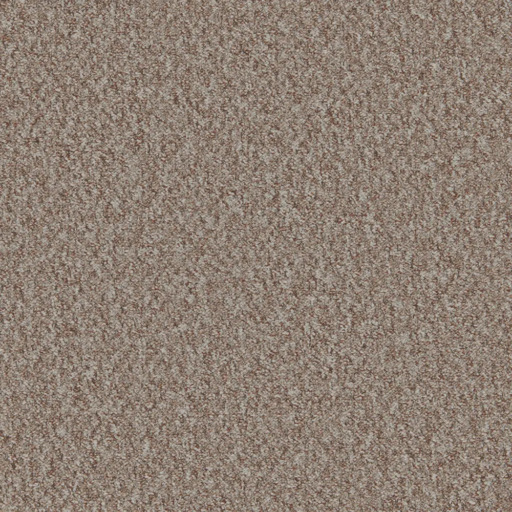 Mojave Beech Nut vwne