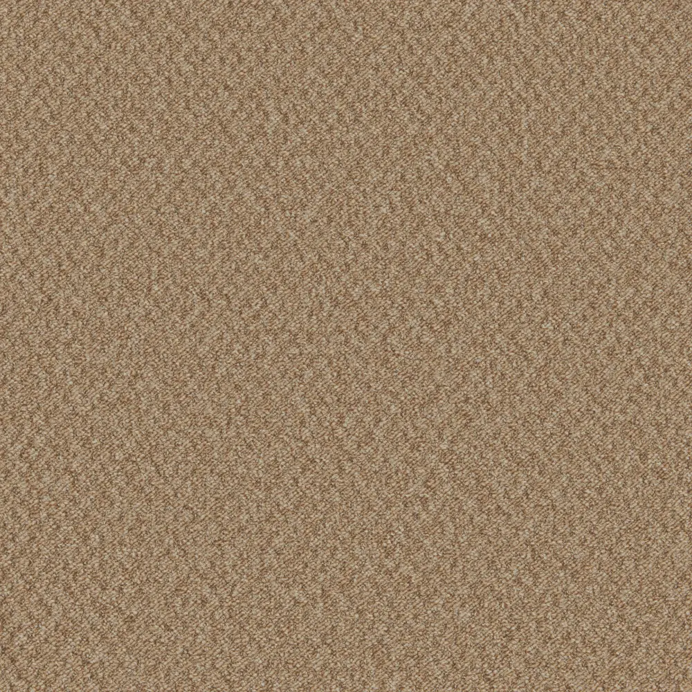 Mojave Antelope pbzb