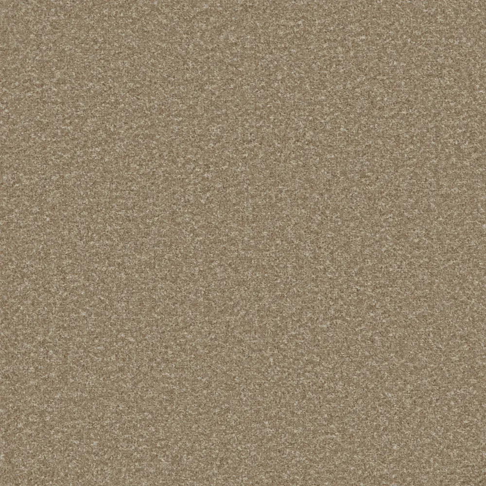 Fairway Light Taupe LR