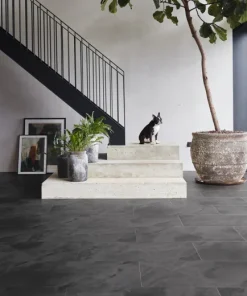 black onyx lm rcx hallway p cm webp