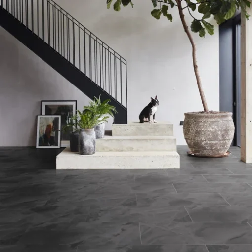 black onyx lm rcx hallway p cm webp