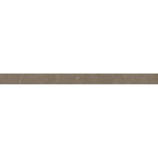 ds feather design strip webp