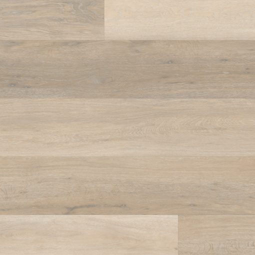 rkp texas white ash overhead cm jpg