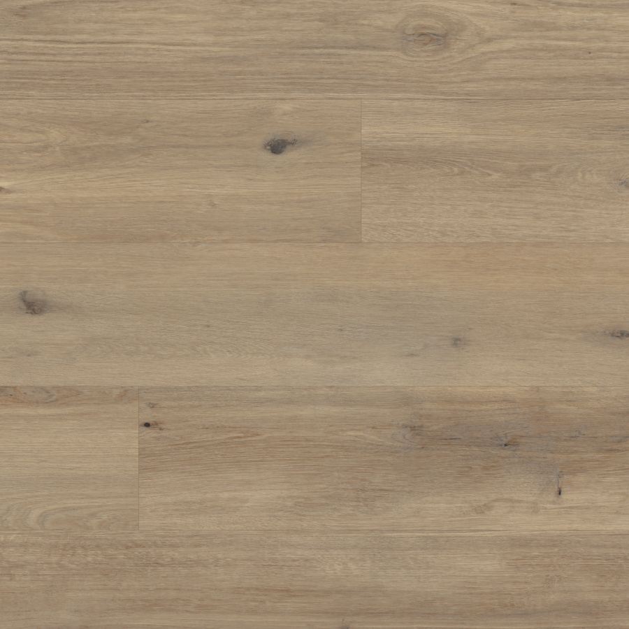 rkp canadian urban oak overhead cm jpg