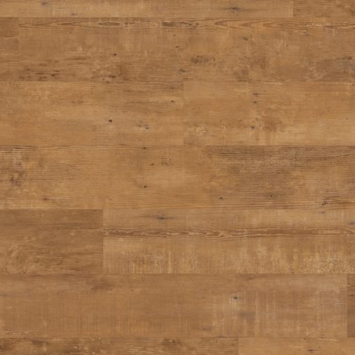 vgwt naturalschoolcedar oh cm jpg