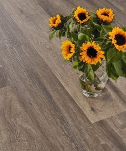 vgw balticmistraloak sunflowers cameo ls cm jpg