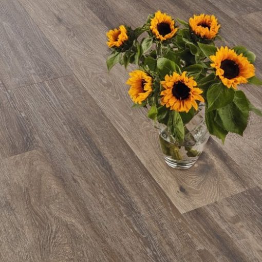 vgw balticmistraloak sunflowers cameo ls cm jpg