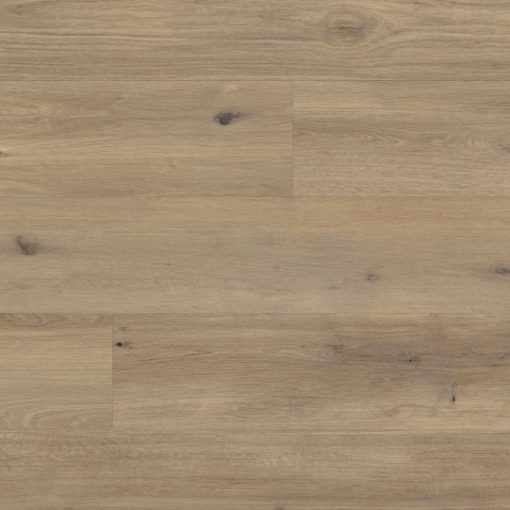 vgw canadianurbanoak oh cm tn jpg