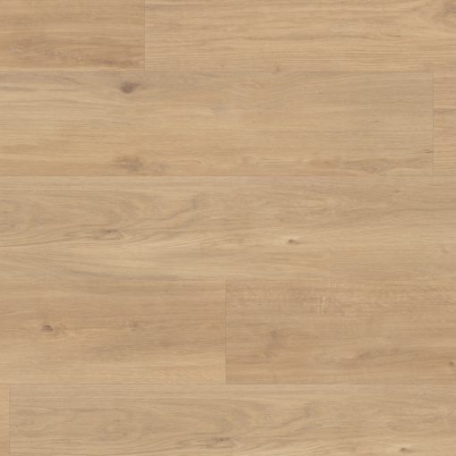 vgw canadiannudeoak oh cm jpg