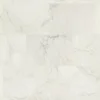SCB ST webp