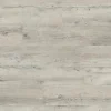 VGWT webp