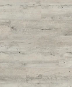 VGWT webp