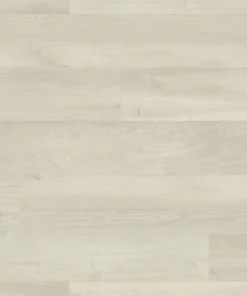 VGWT webp