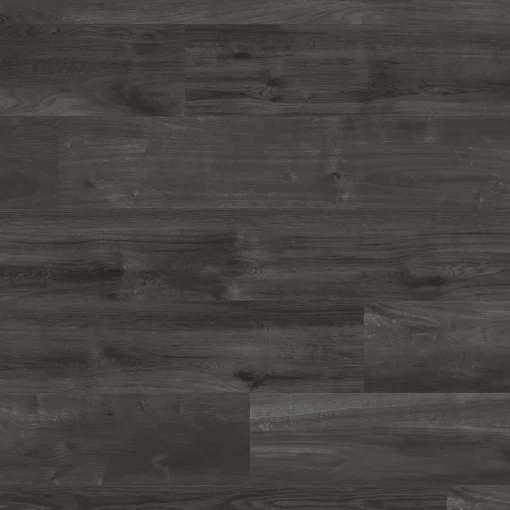 VGWT webp