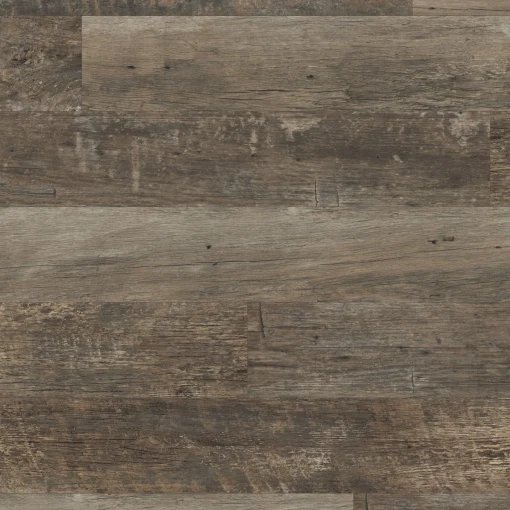 VGWT webp