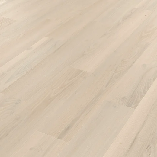 norfolk acacia kp a cm webp