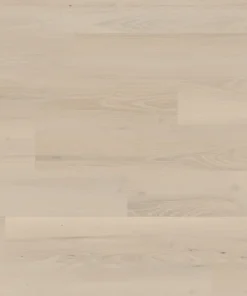 norfolk acacia kp oh cm webp