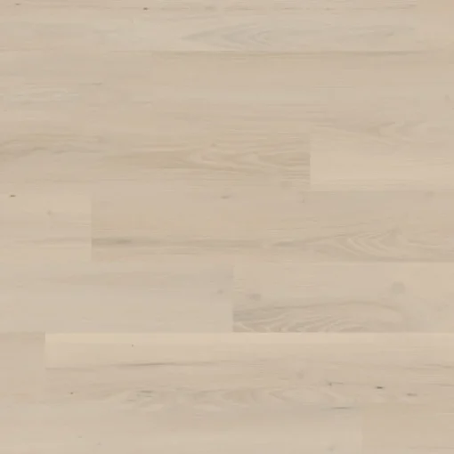 norfolk acacia kp oh cm webp
