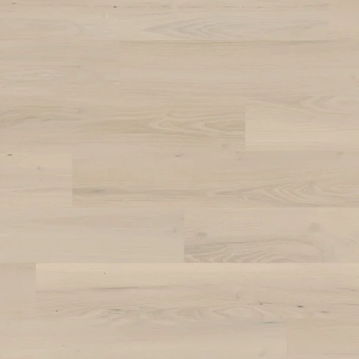 norfolk acacia kp oh cm webp
