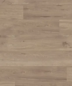 overheadsvangoghvgwt frostedbirch oh webp